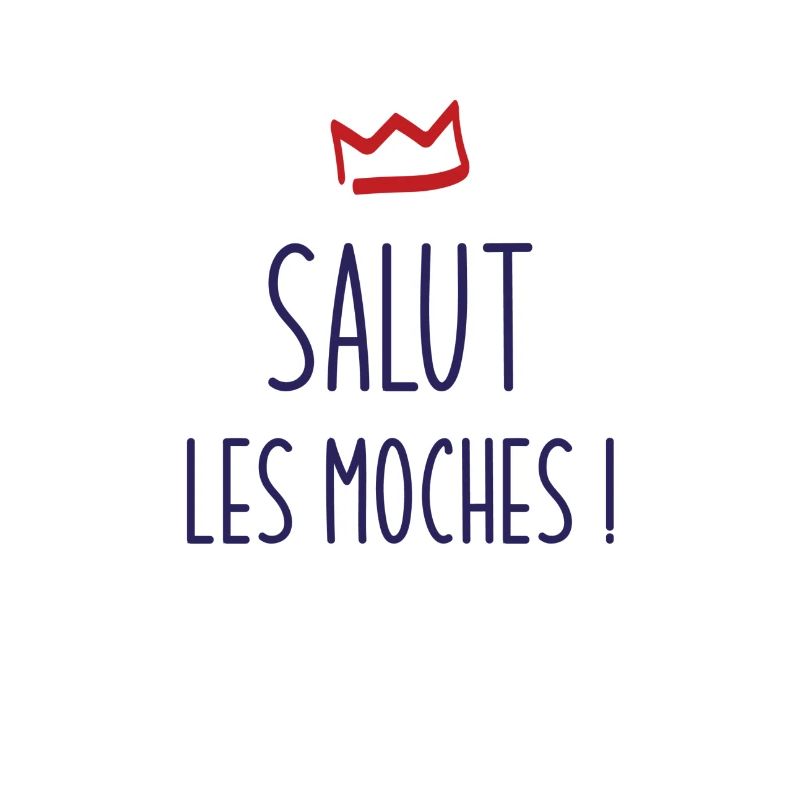 SALUT LES MOCHES