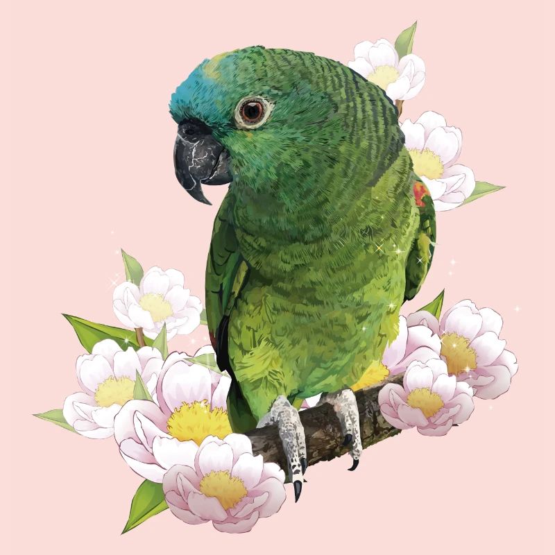 The blue-fronted amazon