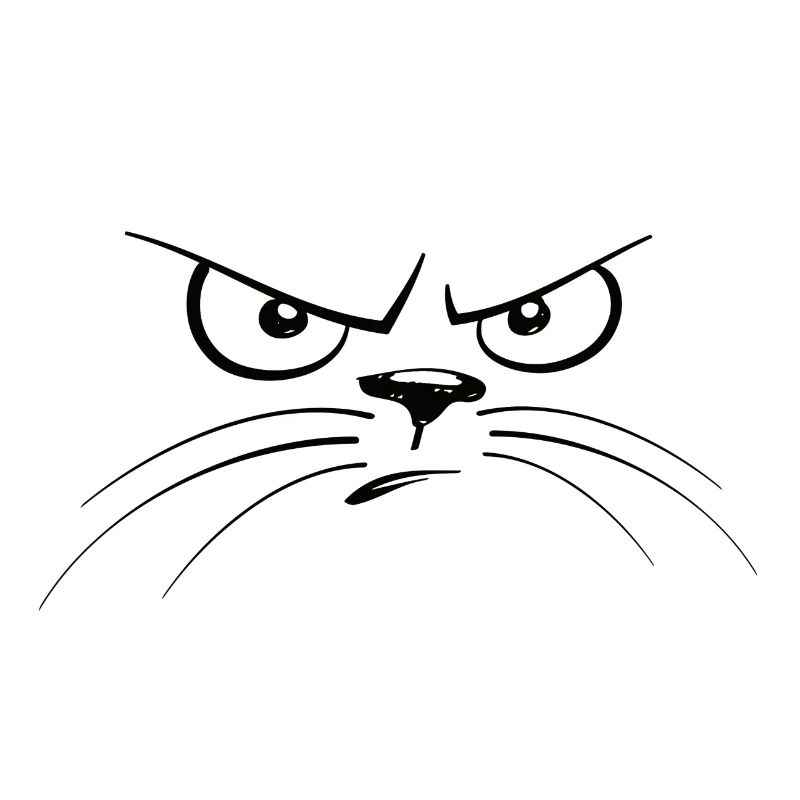 Grumpy cat