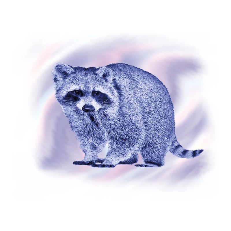 waschbär in harmonischem Design