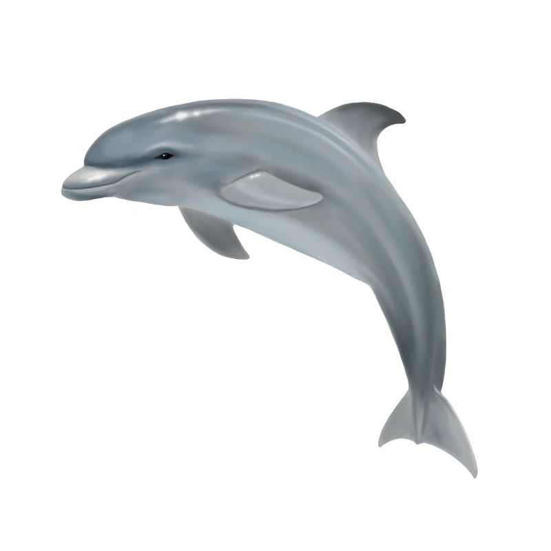 Doux dauphin