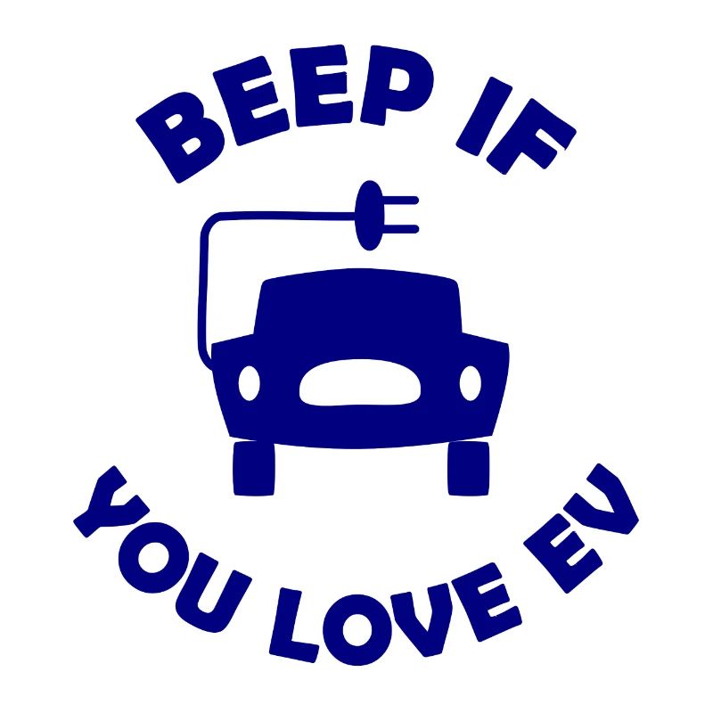 Die E Auto Fans