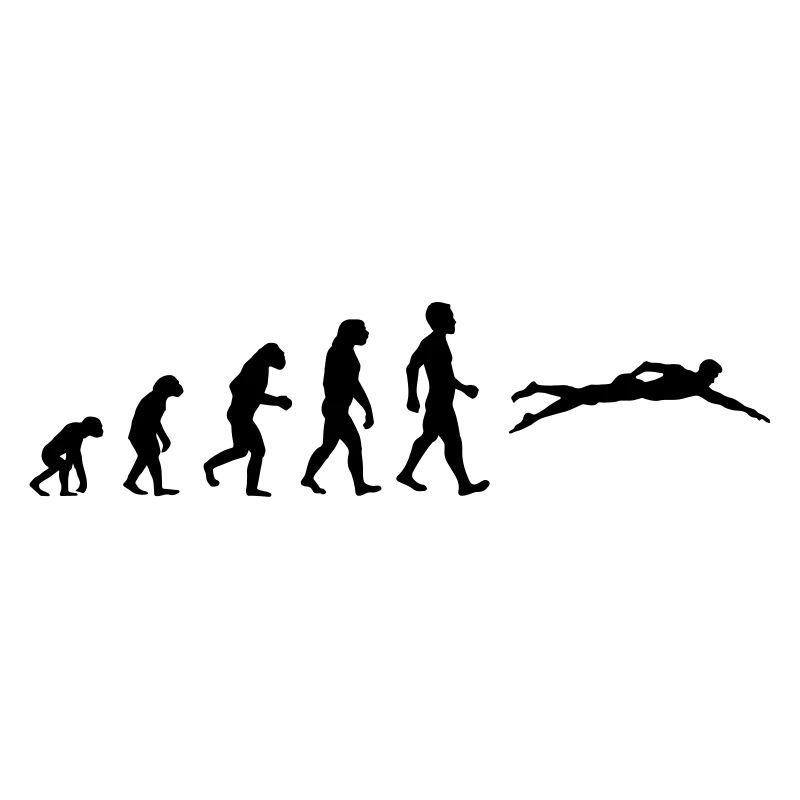 Le motif de l'évolution comme cadeau pour les nageurs