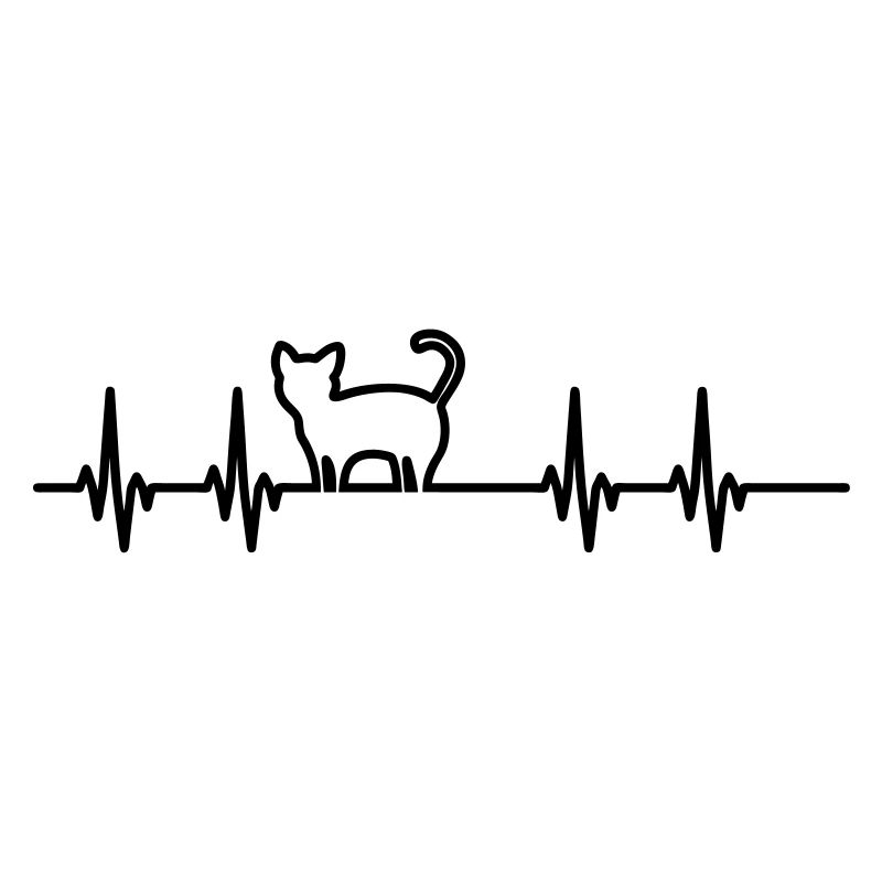 Pouls de chat
