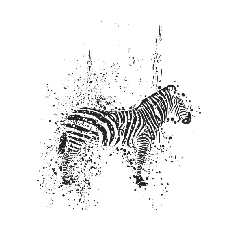 zebra