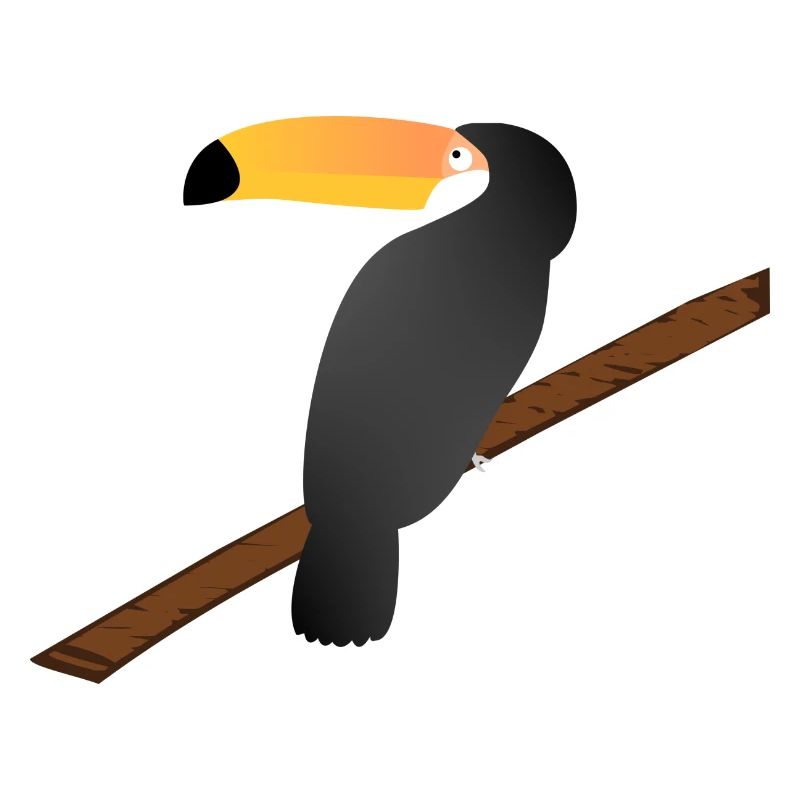 Doux Toucan !