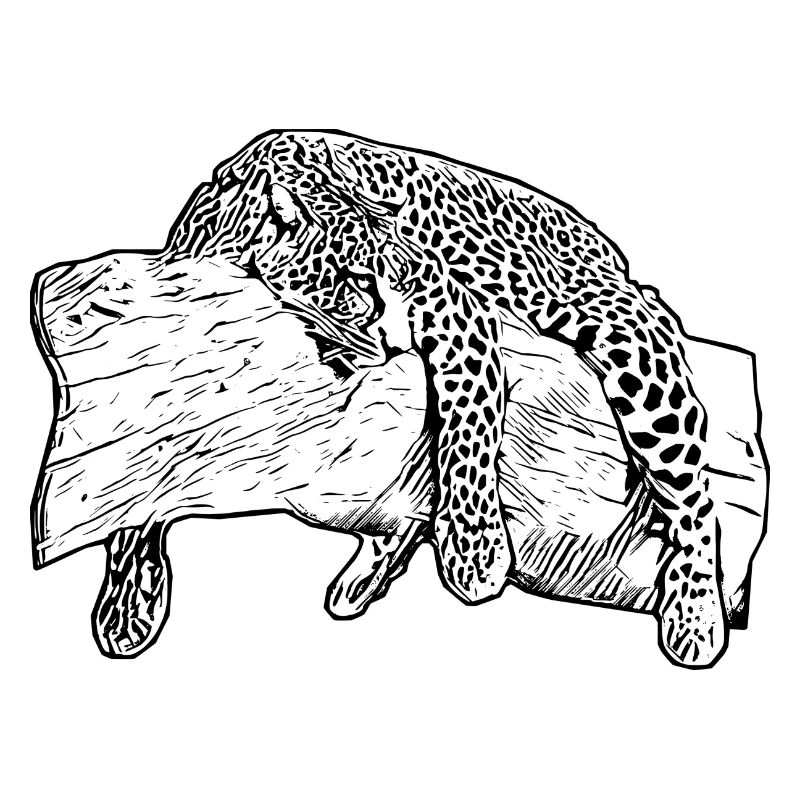 leopard