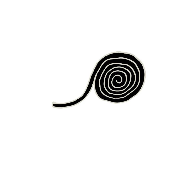 roue de réglisse