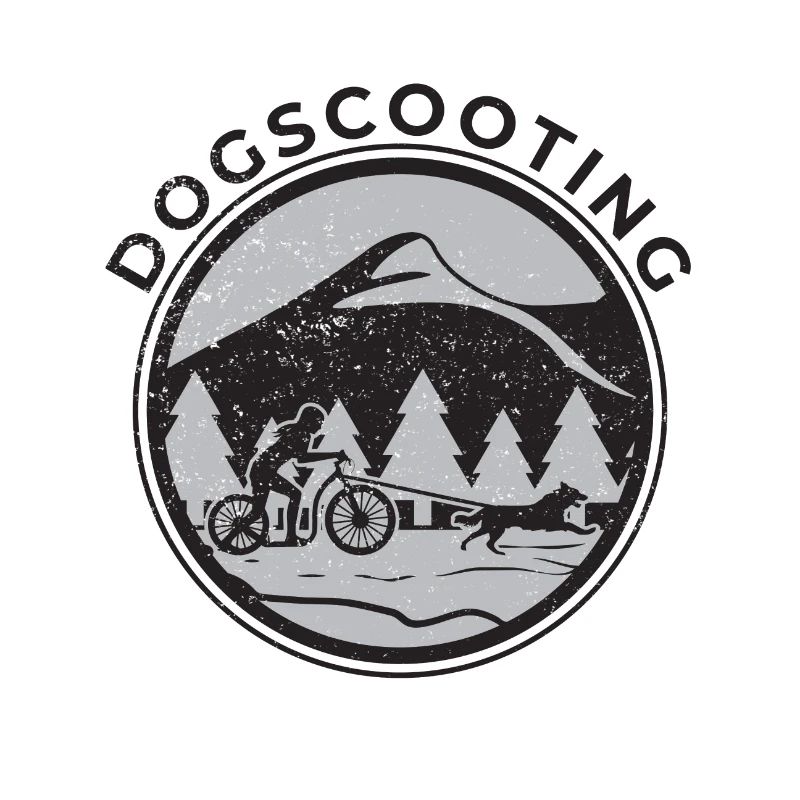 Dogscooting Rollerfahren mit hund