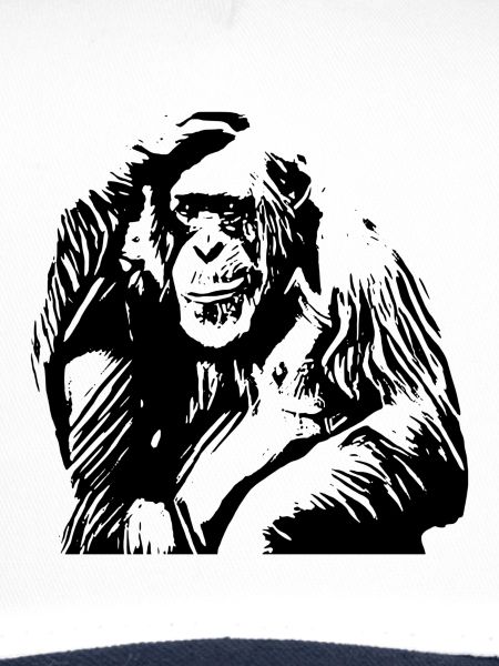 chimp
