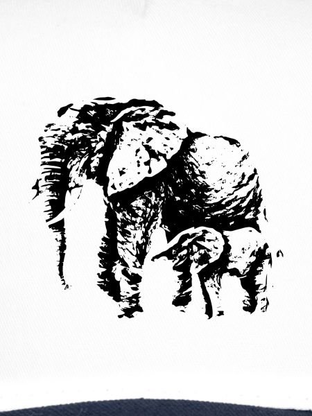 Éléphant