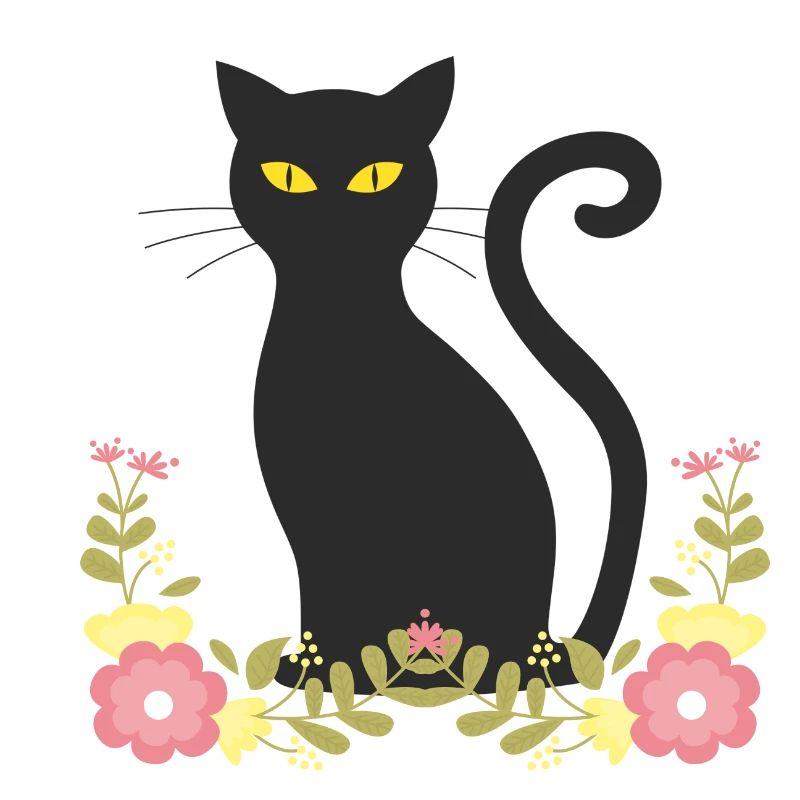 Black cat