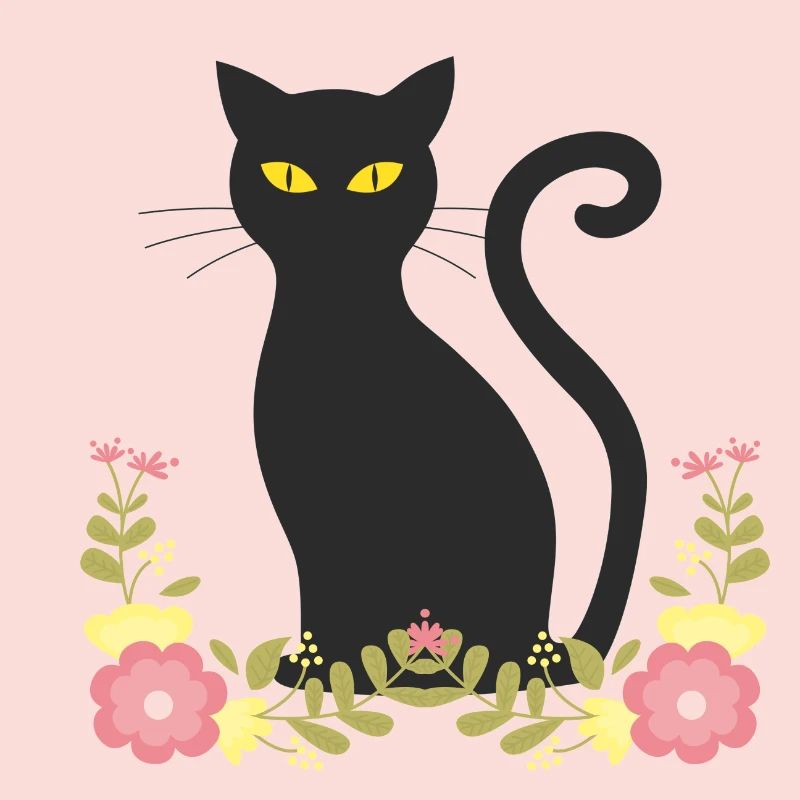 Black cat