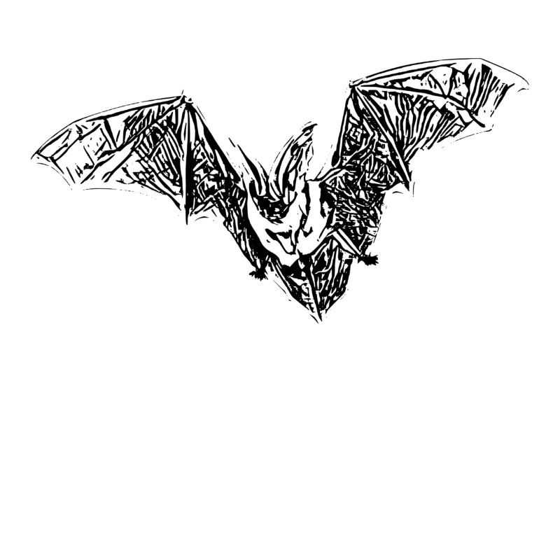 bat