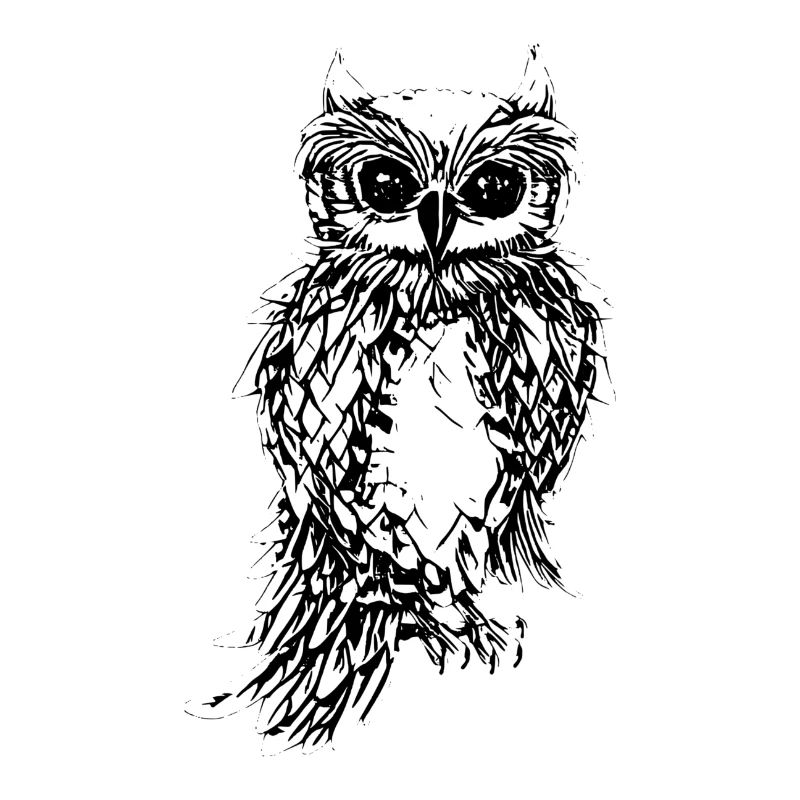 owl