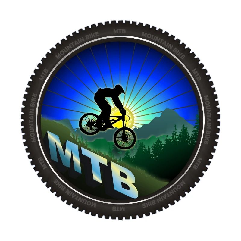 Roue VTT VTT
