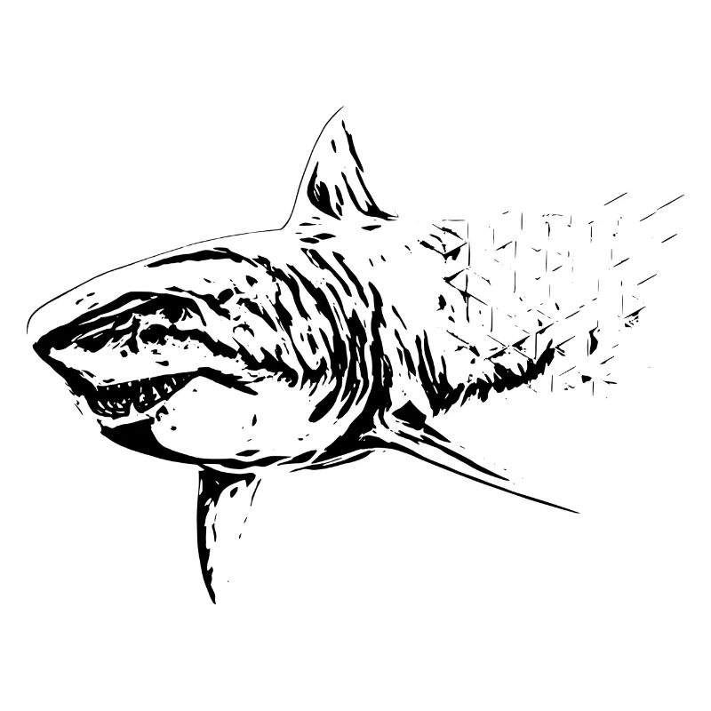 Requin