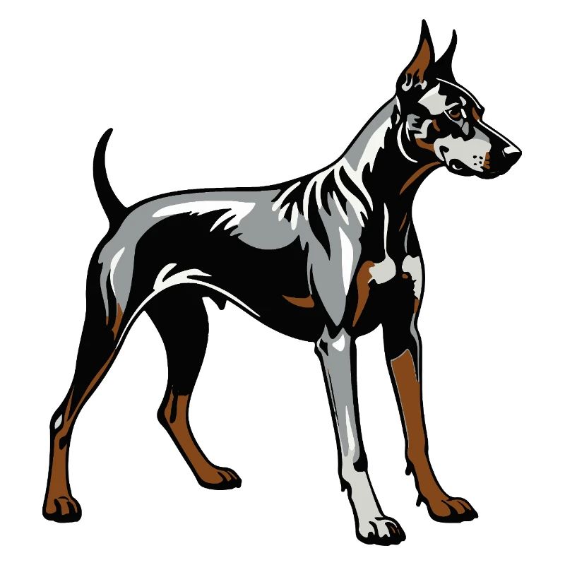 Doberman Pincher - Conception de chien de compagnie