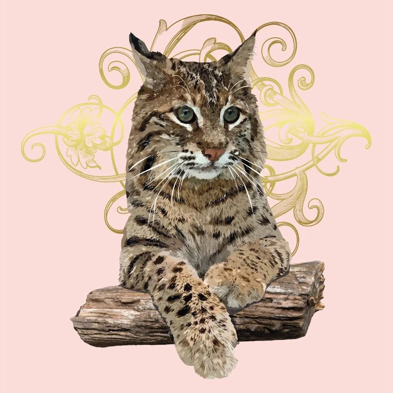 Lynx