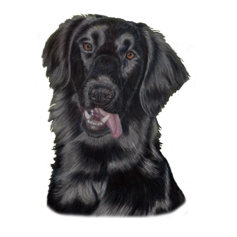 flatcoated retriever pastels