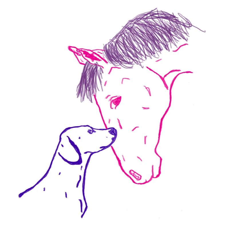 Pferd