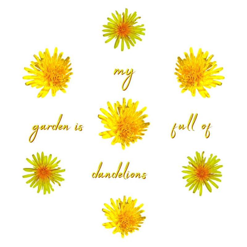 Dandelions Garden