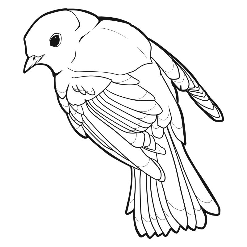 Schwarzer Vogel