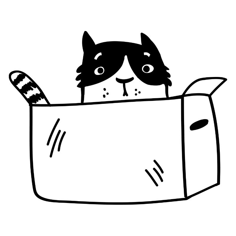 Katze