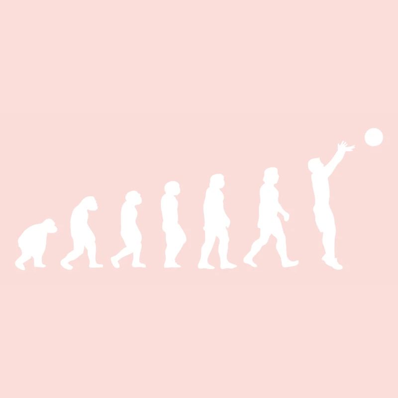 Basket évolution
