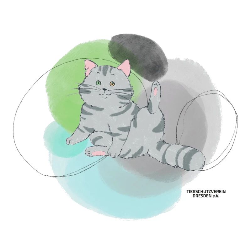 🐾 Grau getigerte Katze🐱Grün Blau