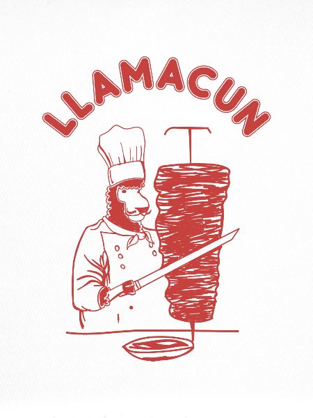 Döner Kebap Llama