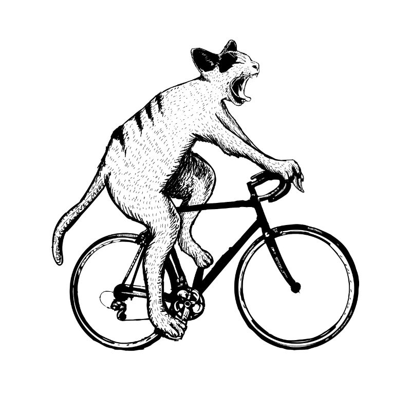 vélo