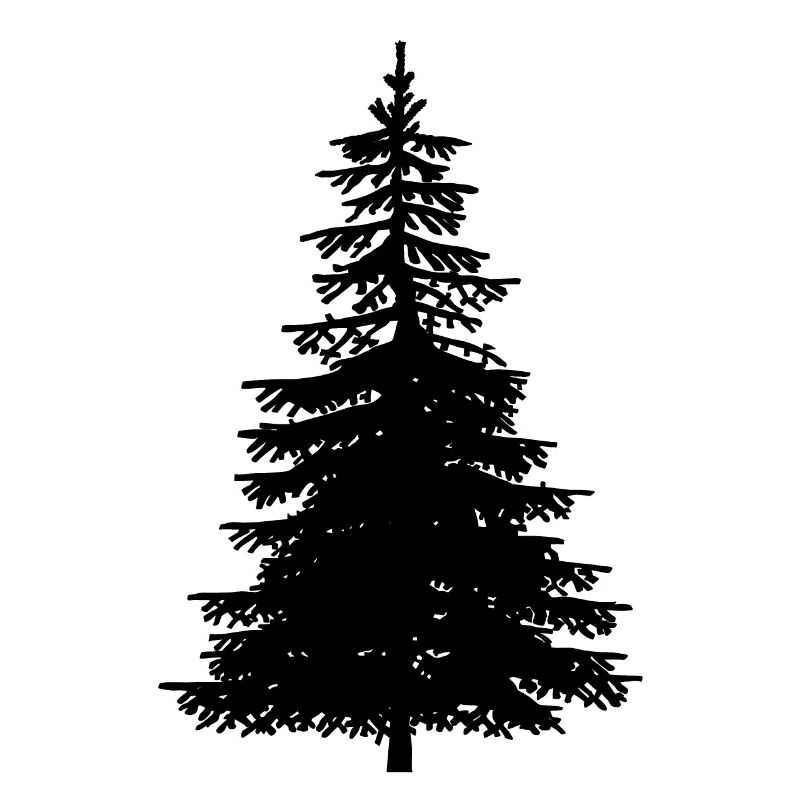 Fir Tree Nature Forest Ecology Nature Conservation Wilderness