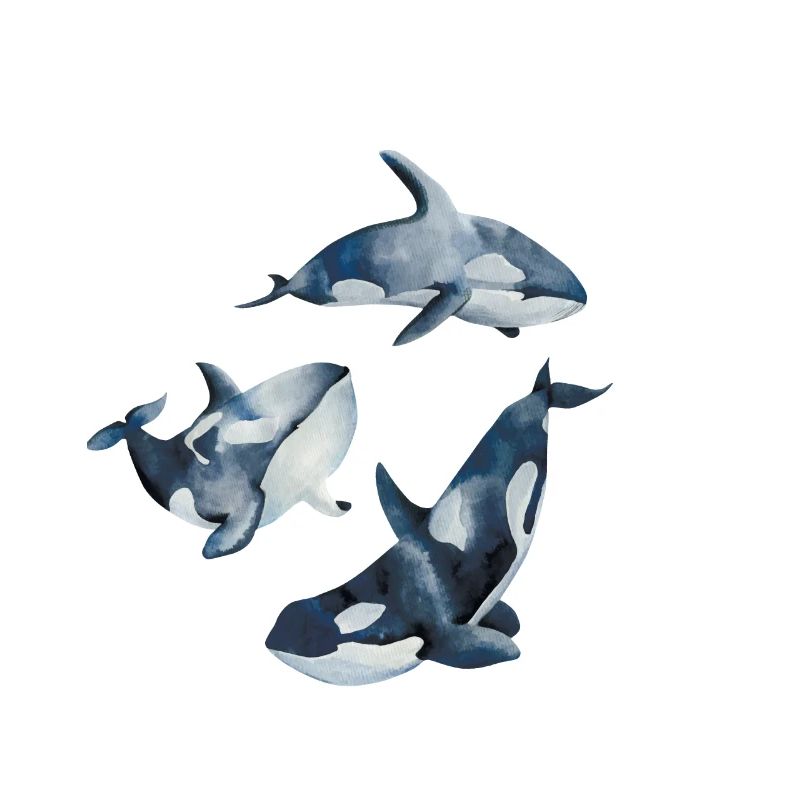 Orca saying for orca lovers