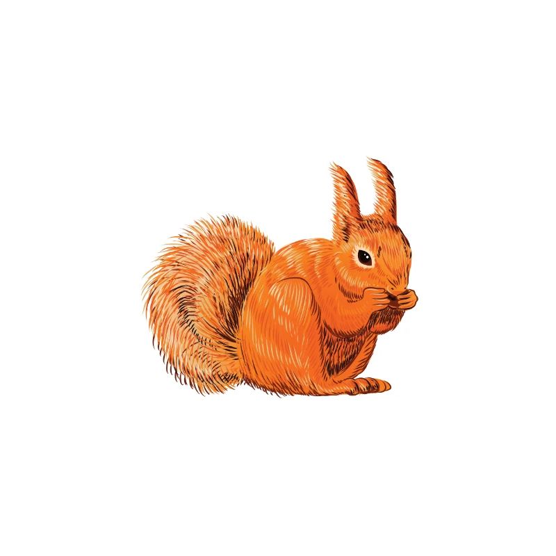 Lustiger Eichhörnchen Spruch