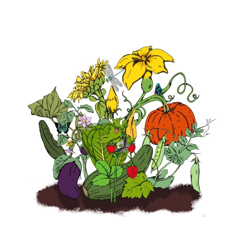 Plants Garden Vegetables Fruit Nature Gift Idea
