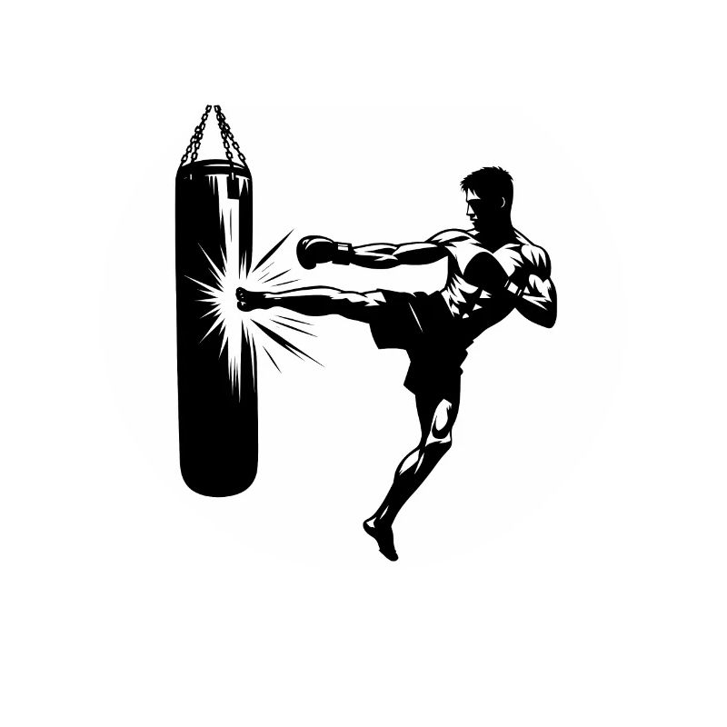 Kickboxen Kickboxer Sidekick