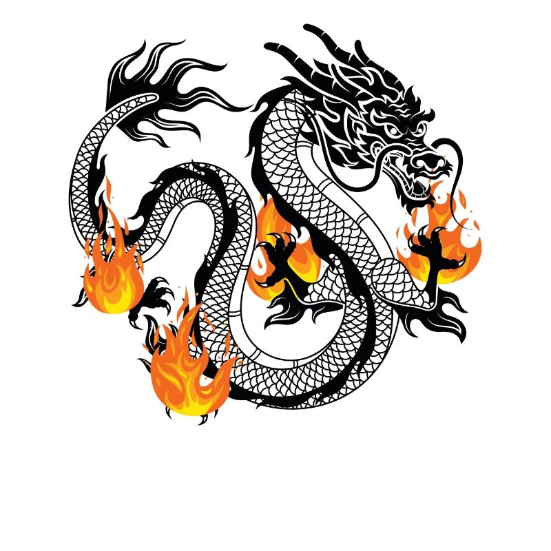 Dragon Dragons Conception dragon