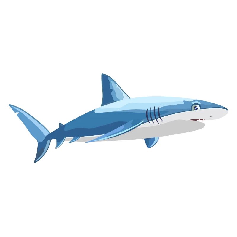 Poisson requin