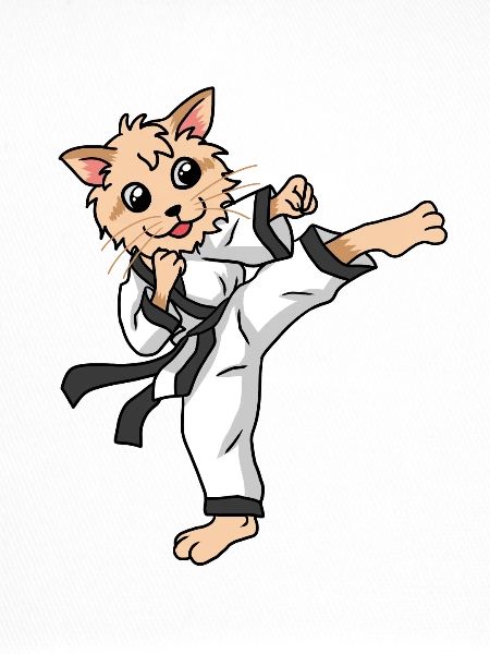 Chat de Karaté