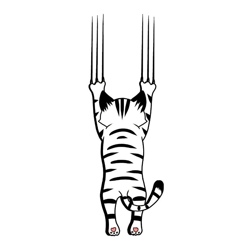 Griffes Chat Chat Chat Chat Animaux de compagnie Patte