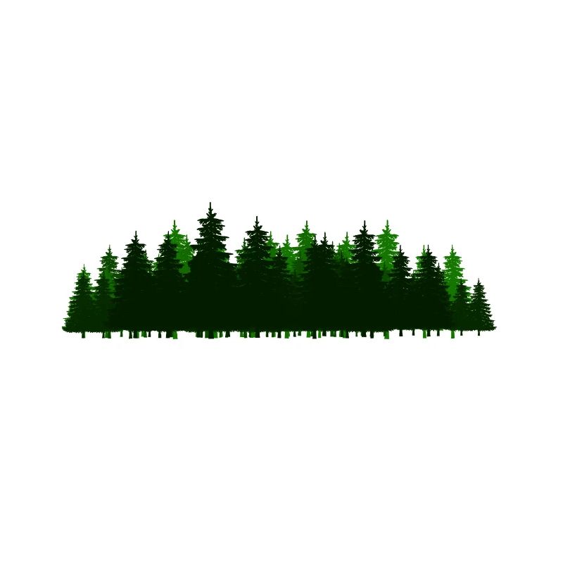 Forest Forest Trees Tree Fir Nature Flora
