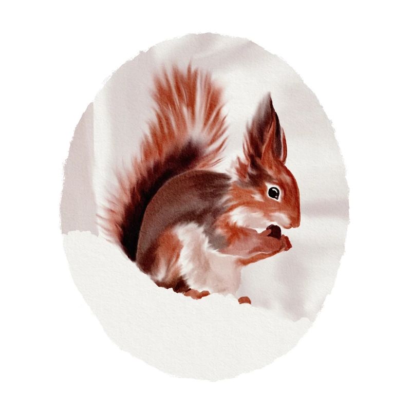 Squirrel
