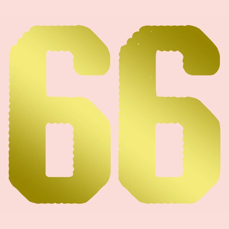maillot numéro 66