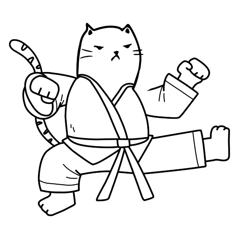 Un drôle de chat de karaté