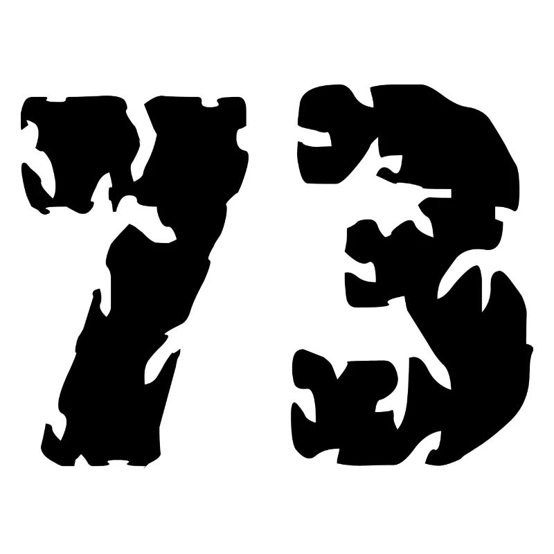 73 Number jersey