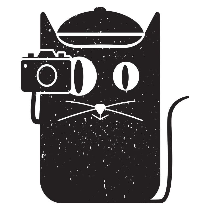 Coole einfache Katze und Kamera