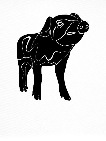Piglet Piglet