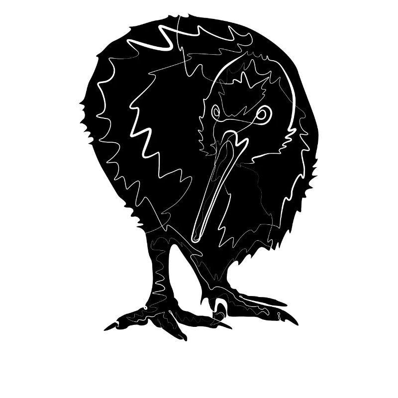 Kiwi Neuseeland