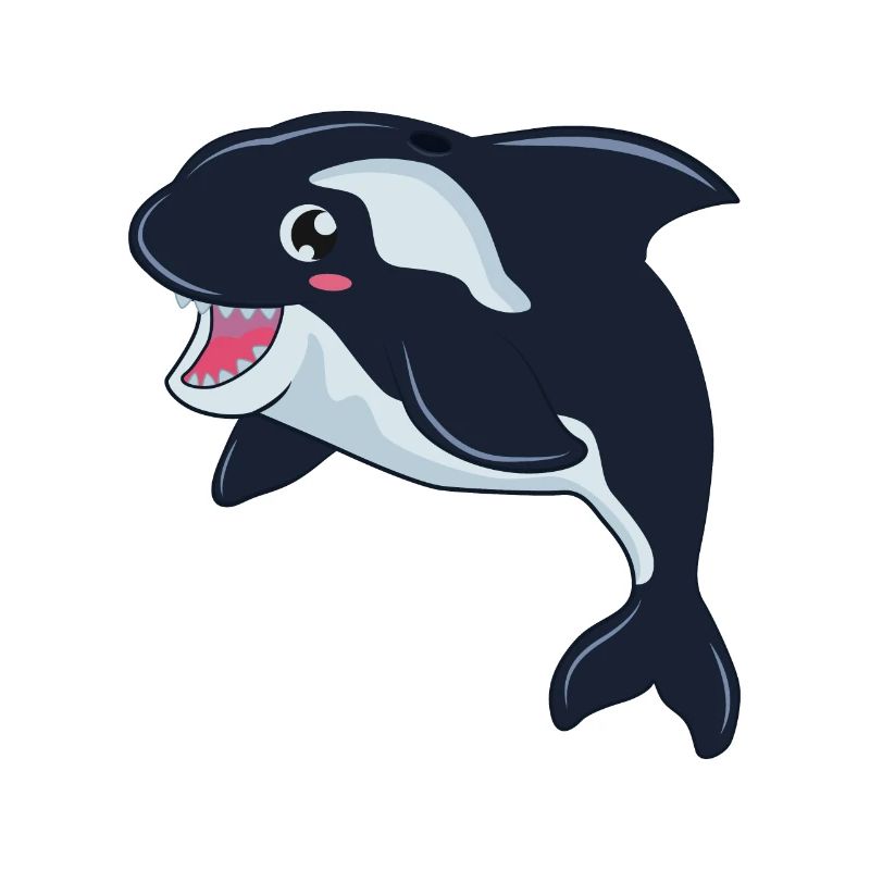 Orca whale